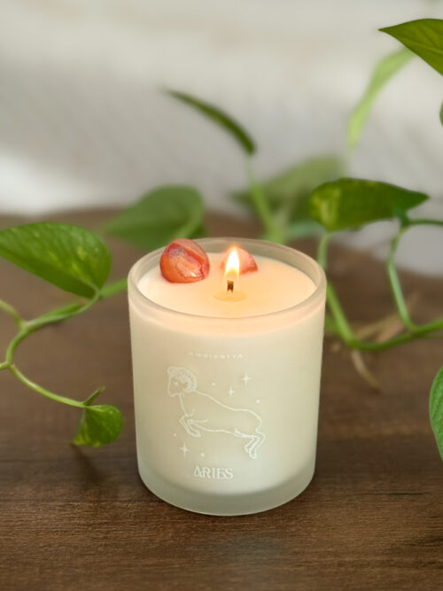 Vela Aries