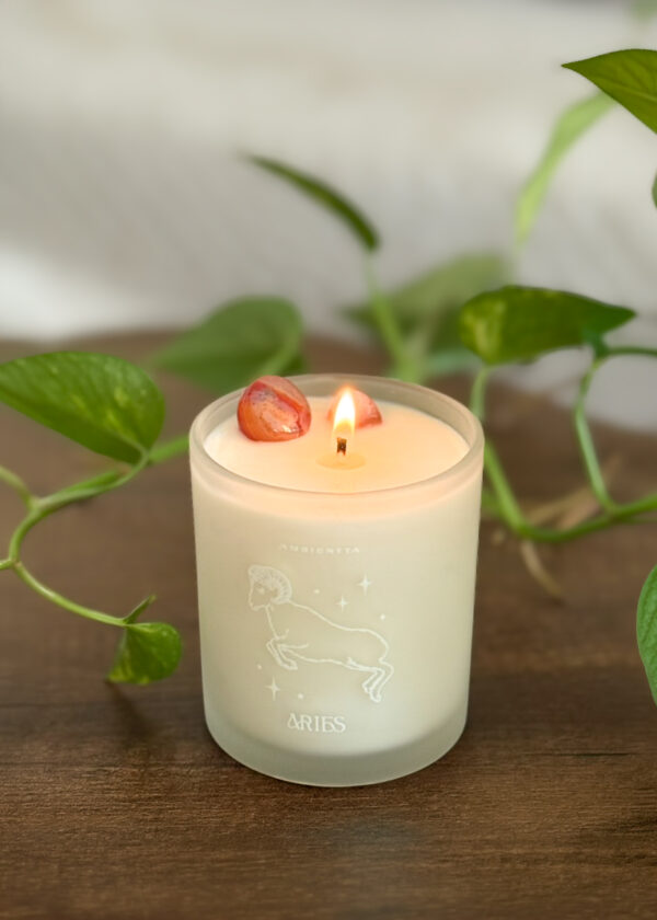 Vela Aries